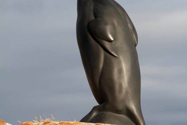 Todd McGrain, Great Auk, The Lost Bird Project, Photo courtesy of The Lost Bird Project