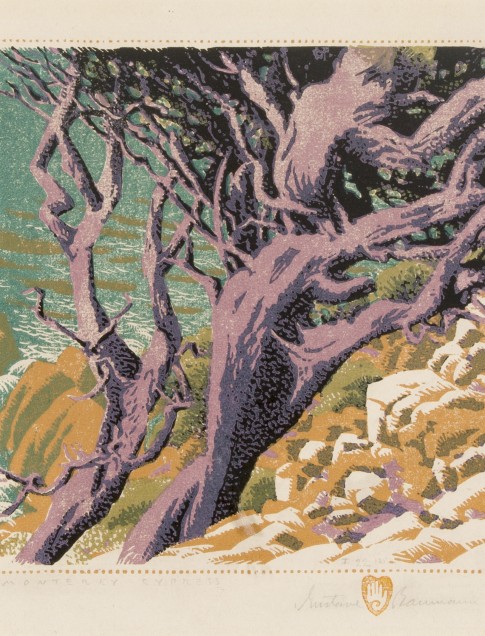 Gustave Baumann (American, b. Germany, 1881–1971), Monterey Cypress, color woodcut, edition: 22/125, collection of Robert B. Ekelund, Jr. and Mark Thornton