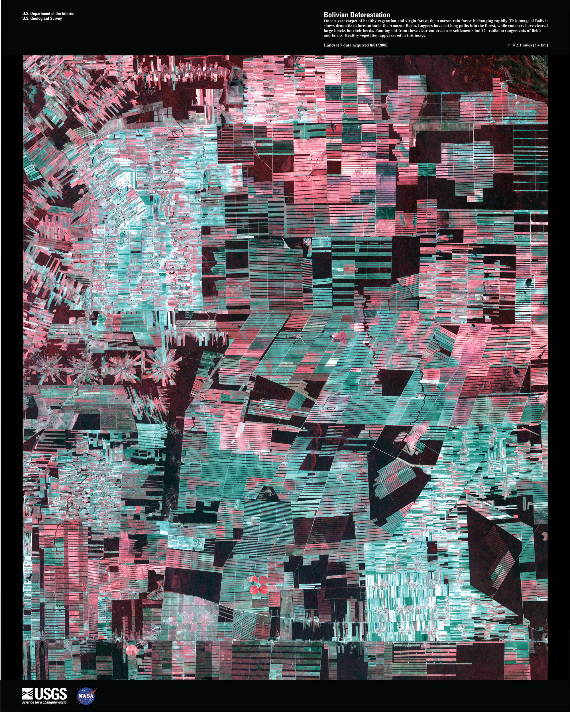 Satelite image of Bolivian Deforestation