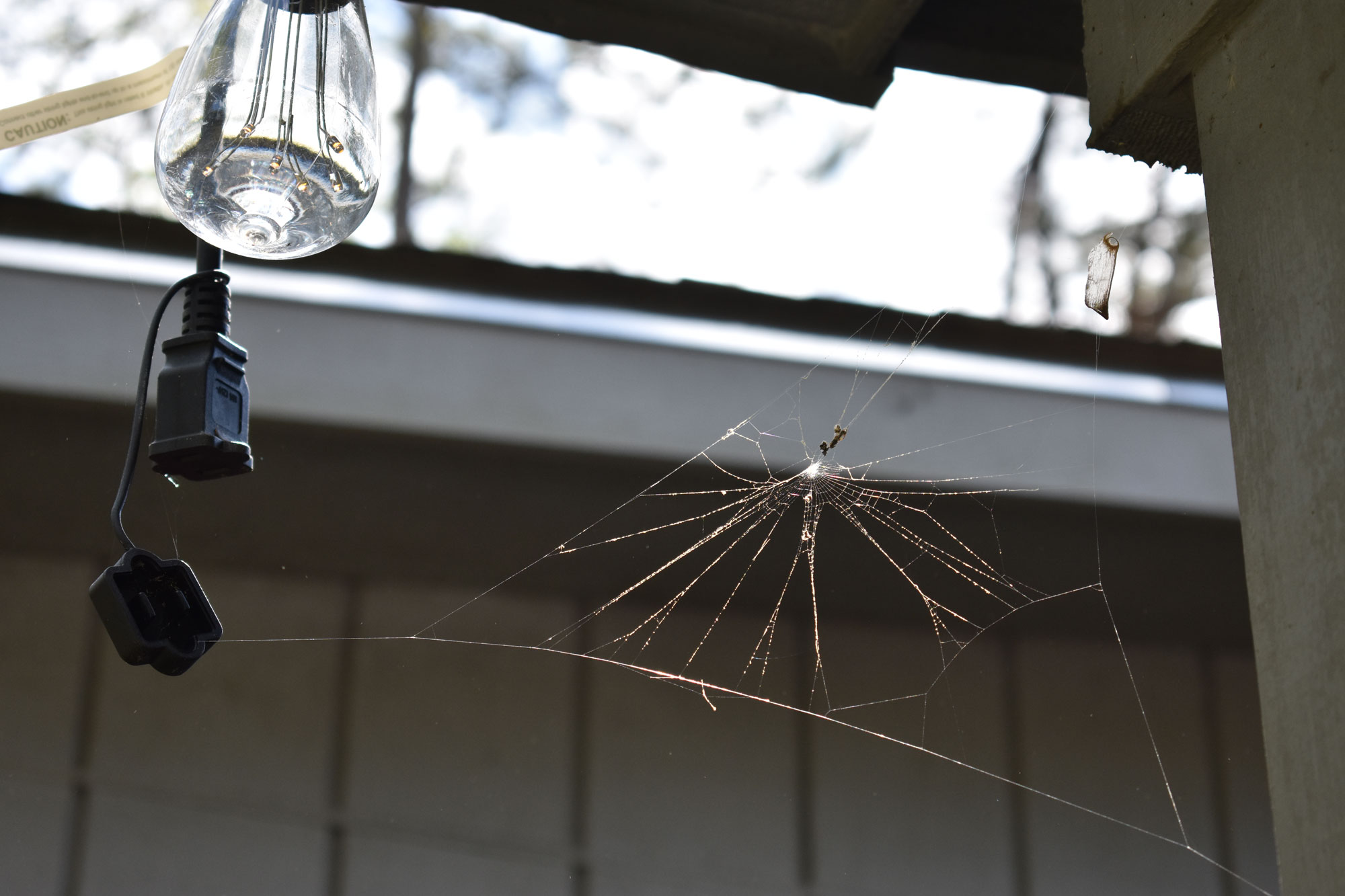 A spider web connects to a glass porch light.