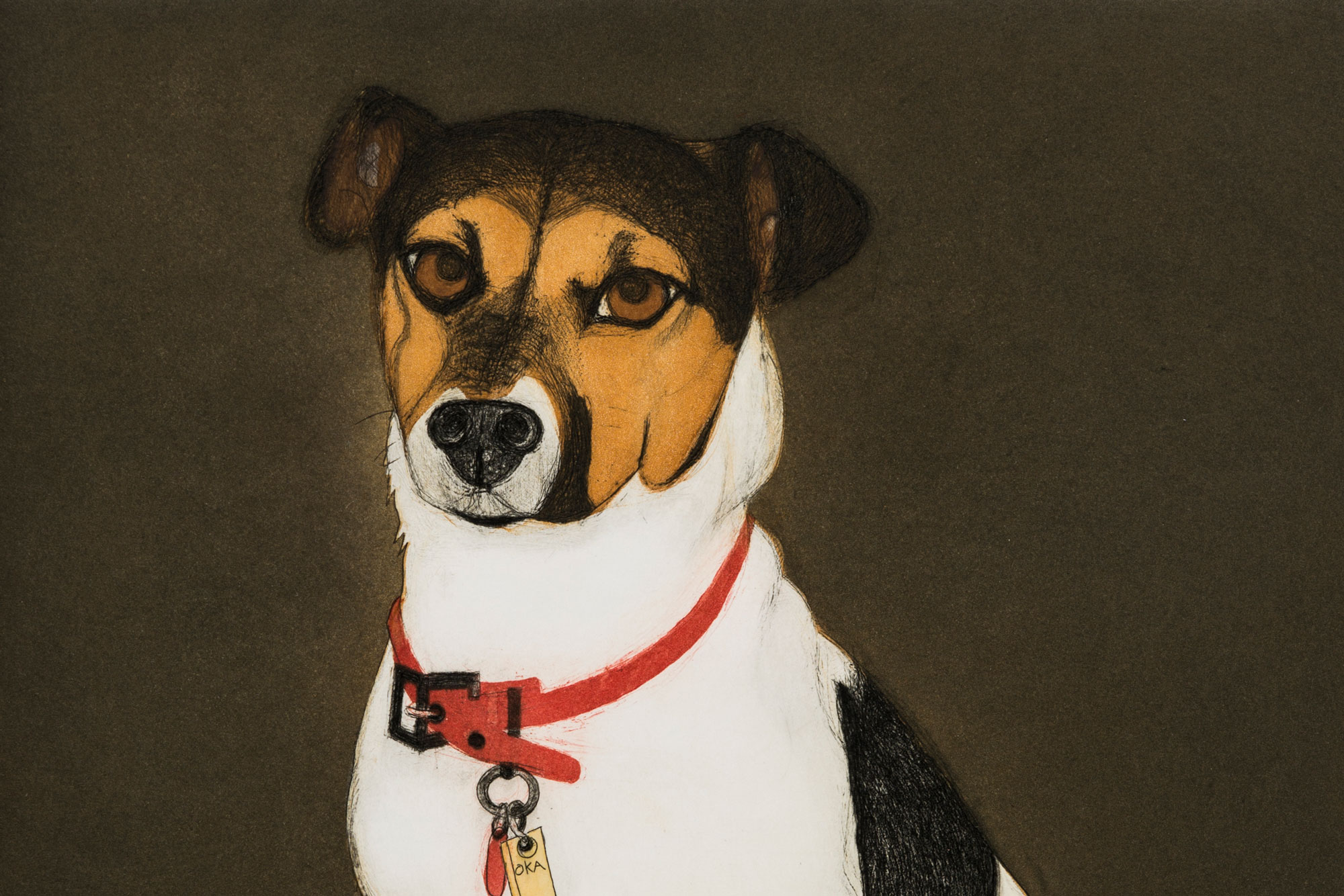 Portrait of a small Jack Russell Terrier