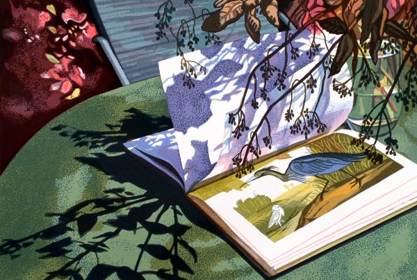 Warm light and shadows move across a book, opened to a picture of a heron.