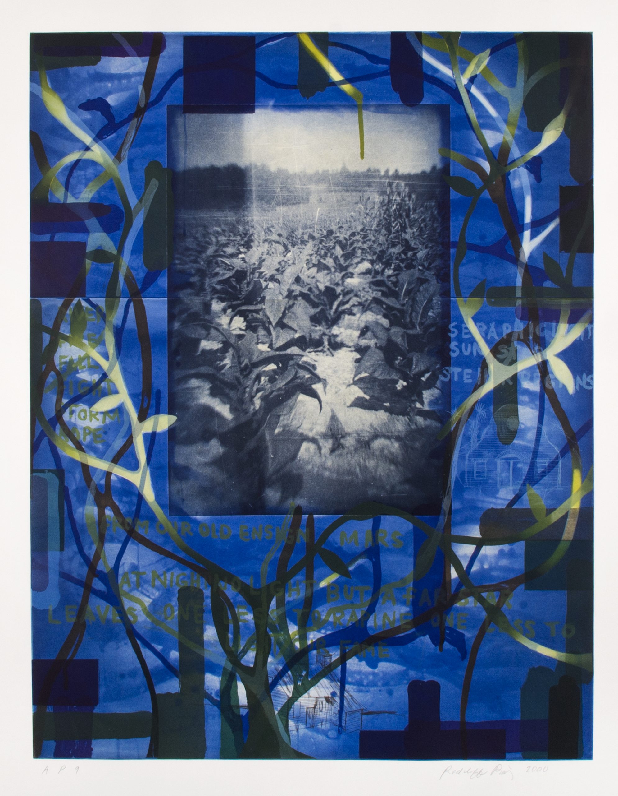Cross and vine imagery surround an archival photo of a Virginia tobacco farm.