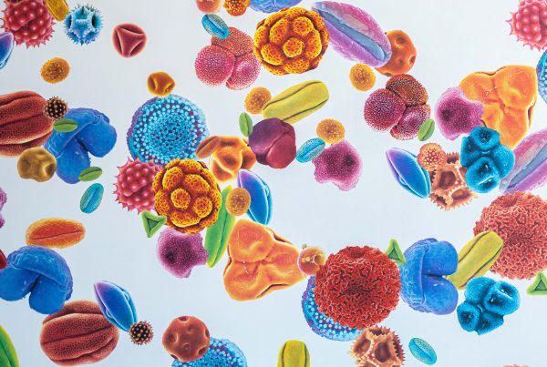A wall mural of microscopic pollen particles that have been blown up and colored.