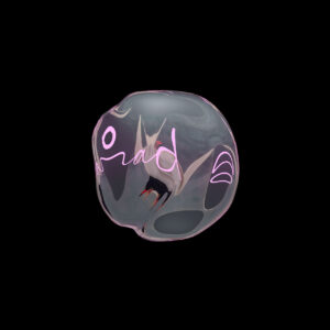 A liquid-like distortion of an Audubon bird overlaid with letters of the alphabet