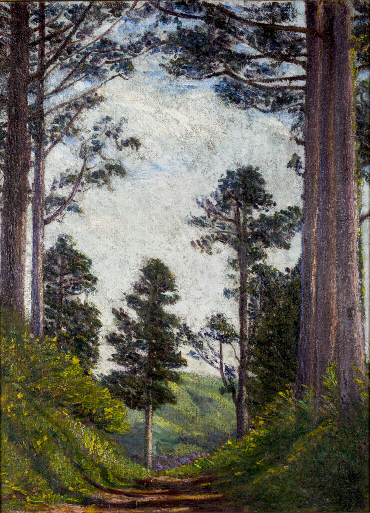 A dirt pathway in a forest, framed by grass and tall fir trees. Shadows fall across the path and sunlight illuminatest he grass and fields ahead. The blue sky peeks through large clouds in the background.