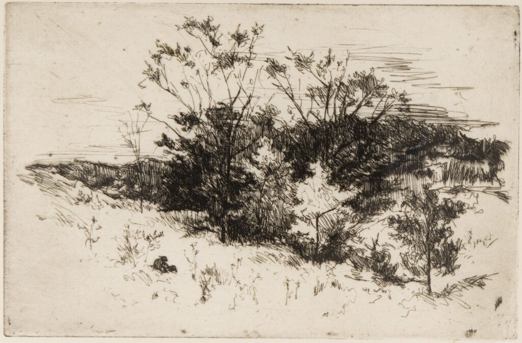 A view of a small valley populated by trees and possibly a small body of water.