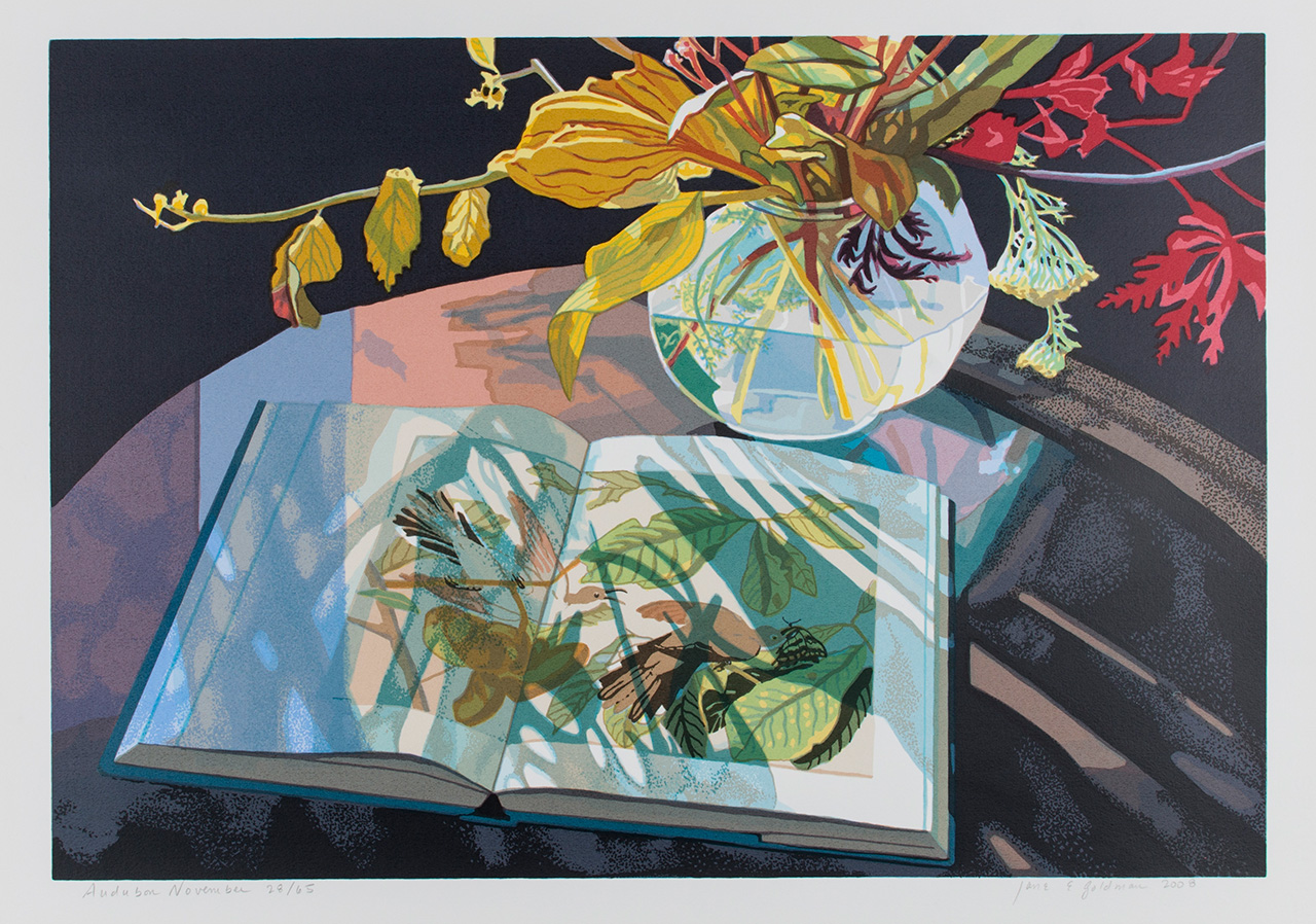 An open botanical book lies on a dark table next to a round glass vase filled with yellow, green, and red leaves. Light creates layered shadows across the book’s illustrated pages.
