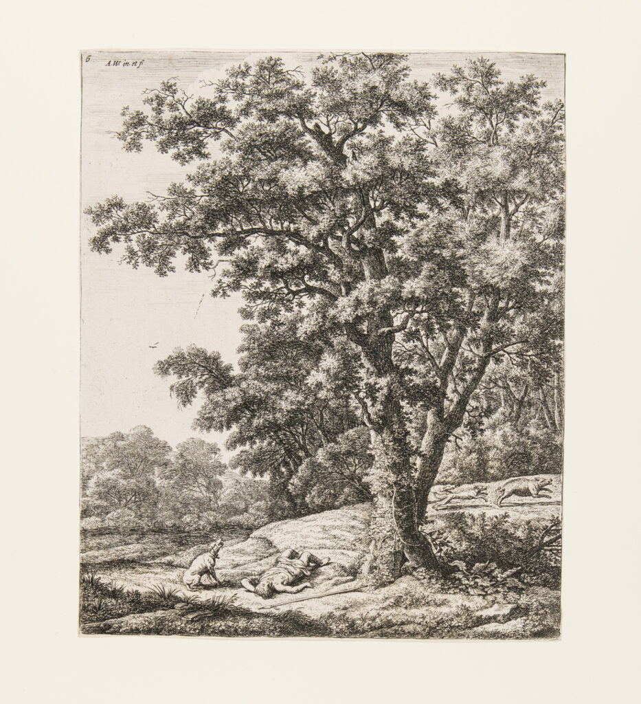 Image of large tree with a man laying on the ground at base with dog chasing a wild boar on the right.