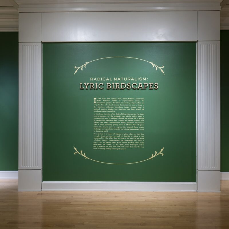 Photo of title wall of Radical Naturalism: Lyric Birdscapes. Walls are an emerald green with light gold text and surrounding leaf graphic elements and white trim.