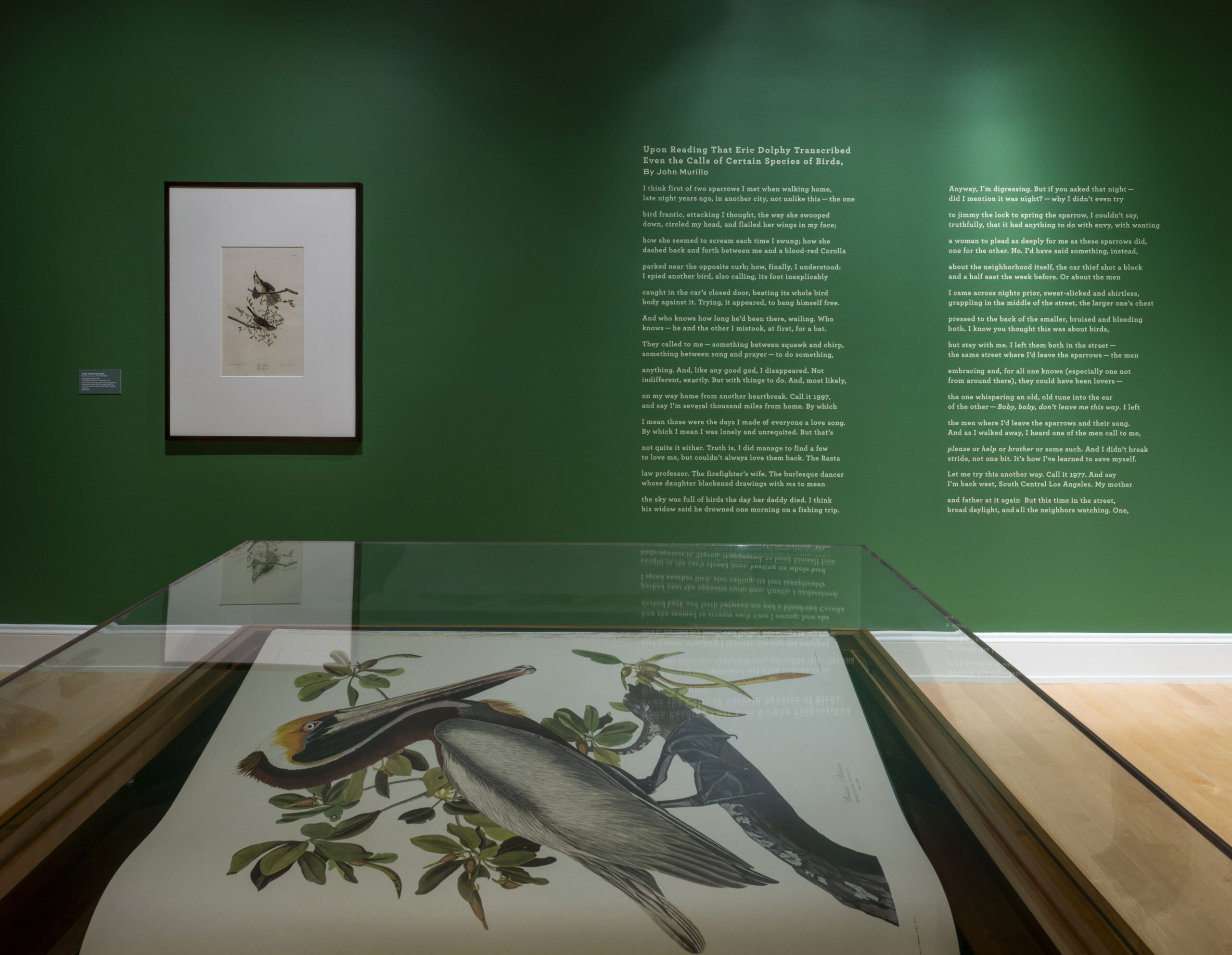 Auburn students contribute original poetry to exhibition alongside museum’s poet-in-residence, featuring selections by John James Audubon